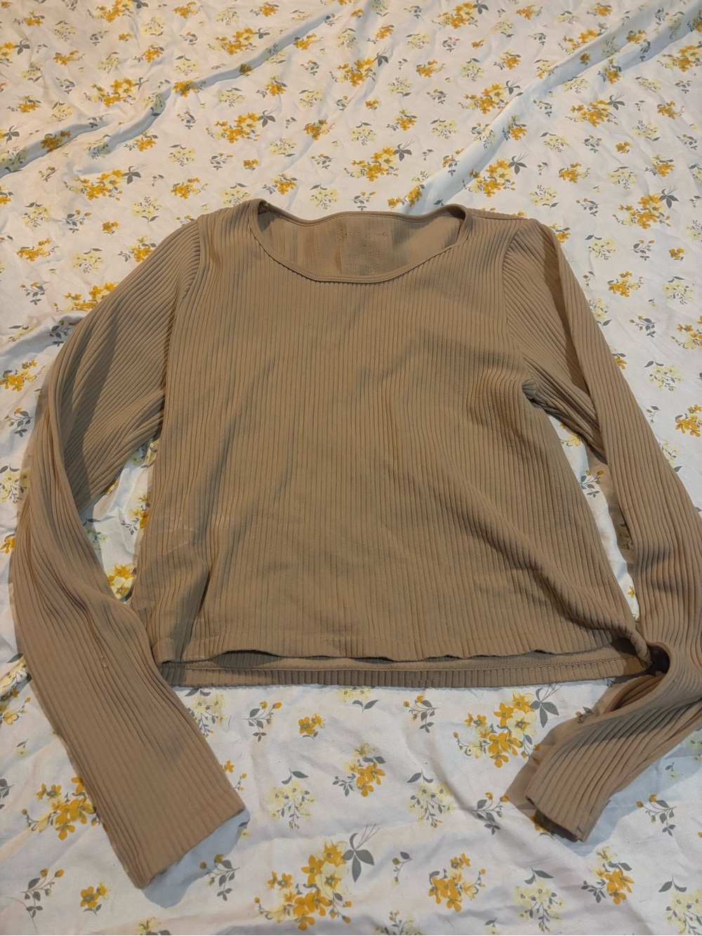 Ribbed Long Sleeve Crop Top in Tan